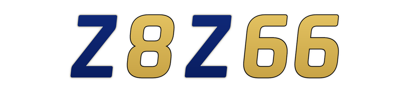 z8z66